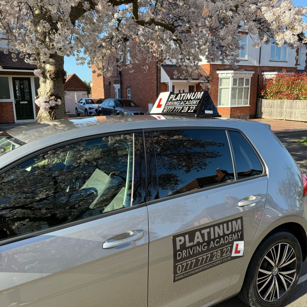 WhatsApp Image 2025-04-01 at 9.21.11 PM (1)